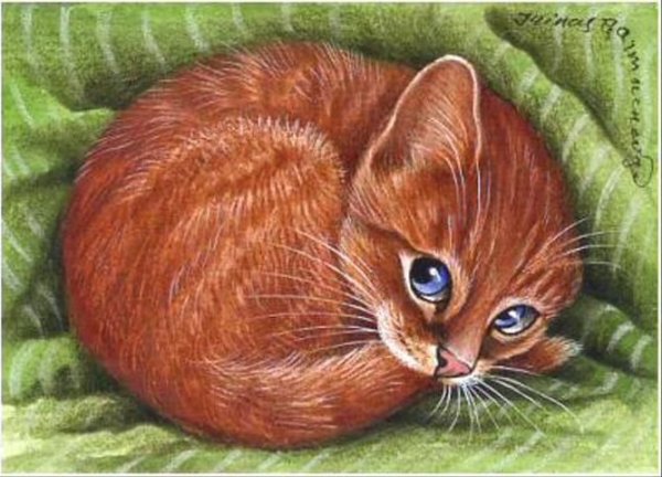 Рыжий кот с клубком