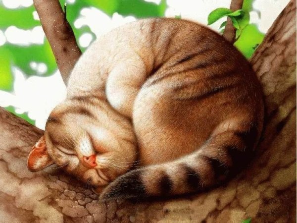 Японский художник Макото Мурамацу