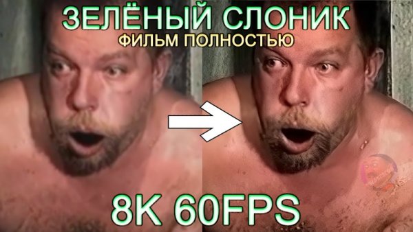 Мемы из зеленого слоника