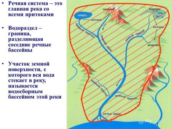 Части реки Речной бассейн