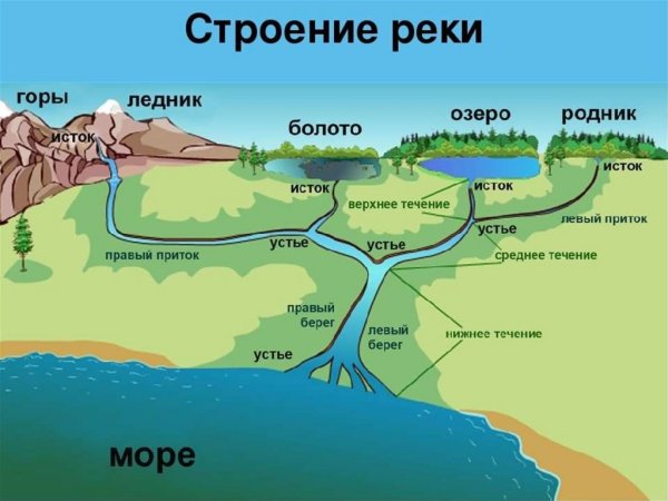 Строение бассейна реки