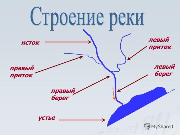 Части реки схема 4 класс
