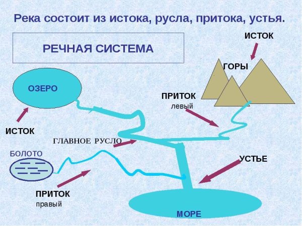 Смешанное питание рек