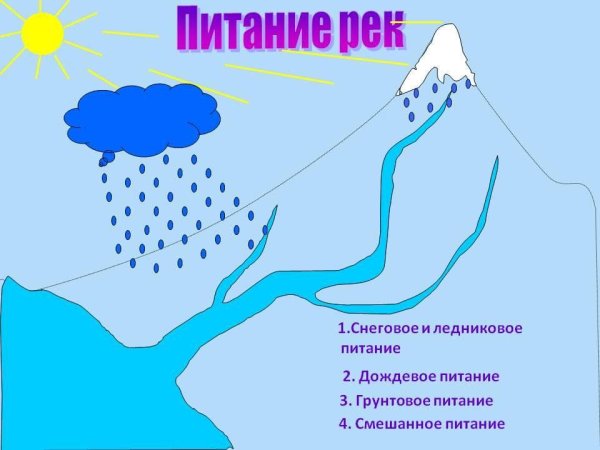 Рисунок схема реки Исток приток Устье