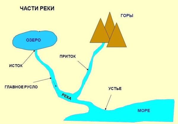 Устье реки Исток приток окружающий мир