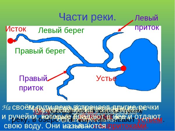 Схема реки Исток русло Устье