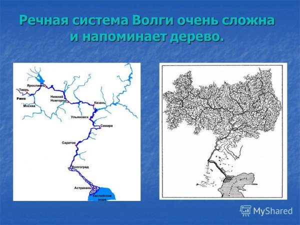 Что такое Устье реки и Исток и русло и приток