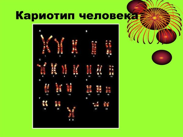 Кариограмма и идиограмма