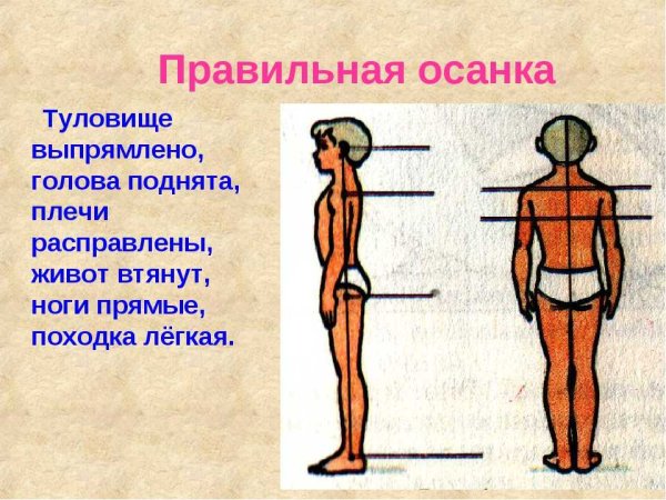 Правильная осанка