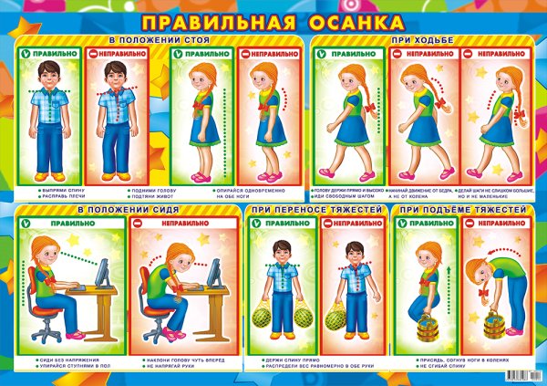 Правильная и неправильная осанка