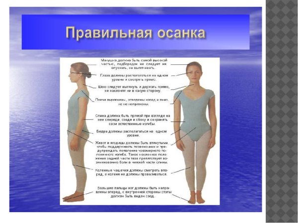 Правильная осанка