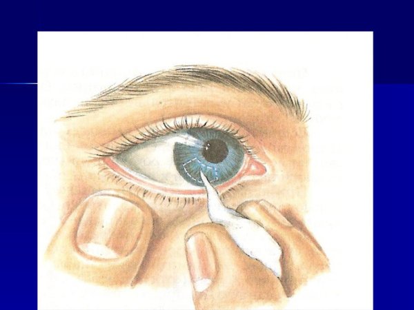 Схема рефлекторных дуг глотательный рефлекс