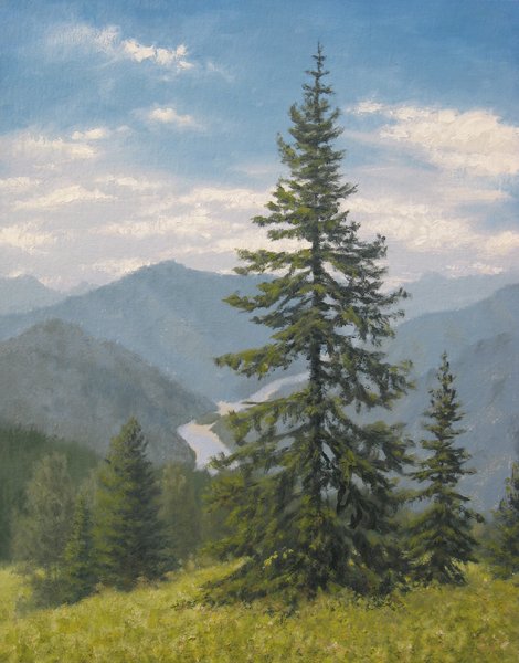 Ель живопись Шишкин