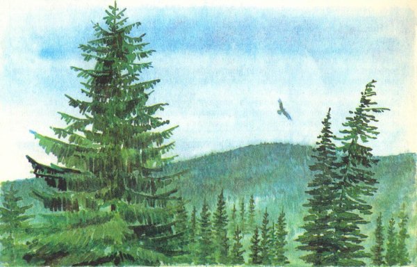 Новогодняя елка акварель