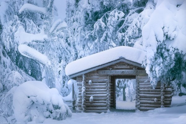Избушка в зимнем лесу