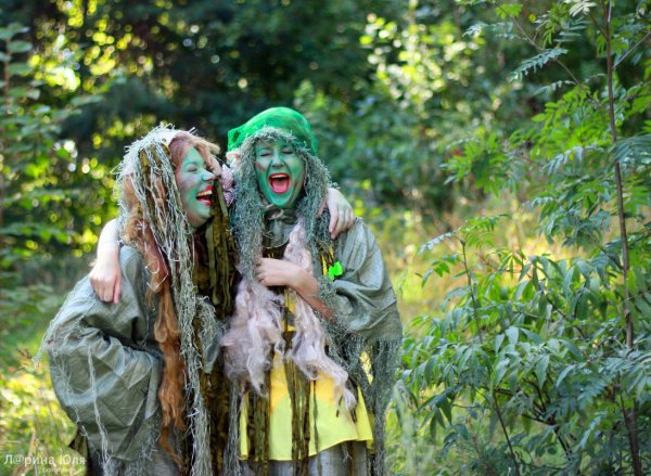 Кикимора Болотная Ведьмак