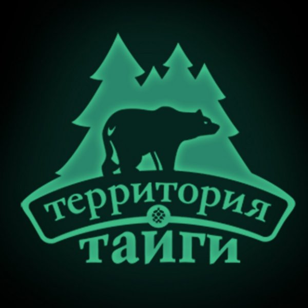 Территория тайги Томск