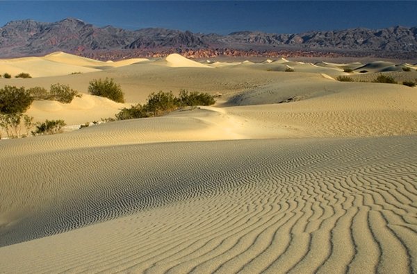 Пустыни и полупустыни Евразии