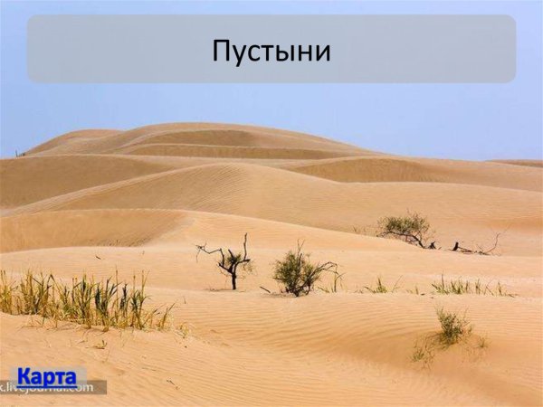 Природные зоны России пустыни и полупустыни
