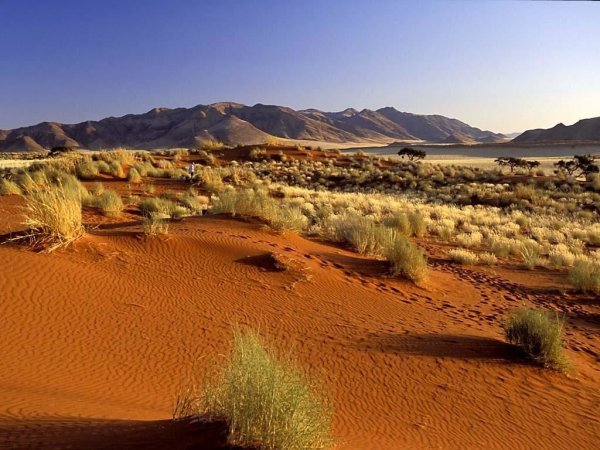 Зона пустынь и полупустынь в России