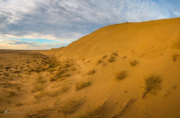 Нефтекумск пустыня Барханы