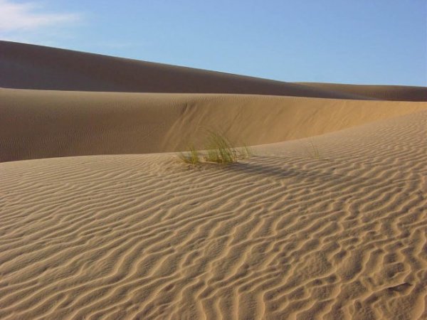 Зона пустынь (полупустыни и пустыни)