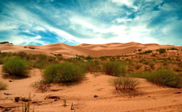 Полупустыни Израиль