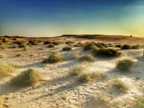 Аральское море и пустыня Каракум