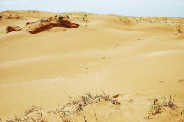 Зона пустыни и полупустыни России