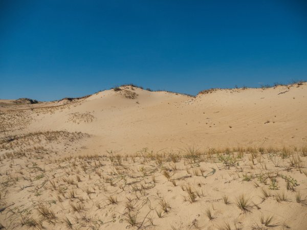 Зона пустынь и полупустынь в России