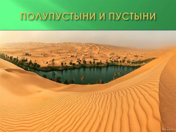 Зона пустынь картинки (45 фото)
