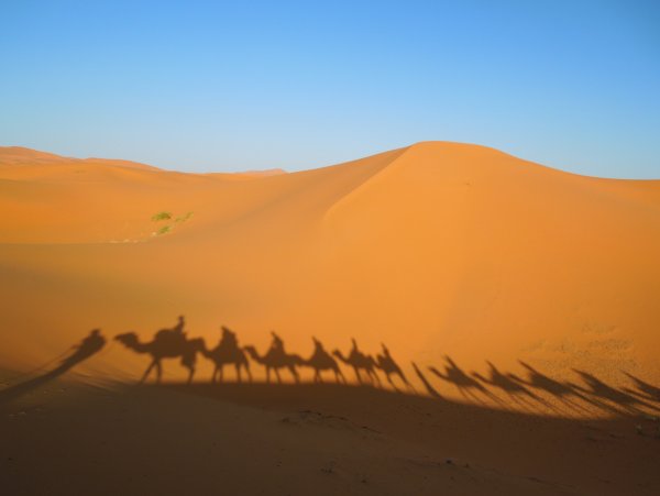 Пустыни и полупустыни Евразии