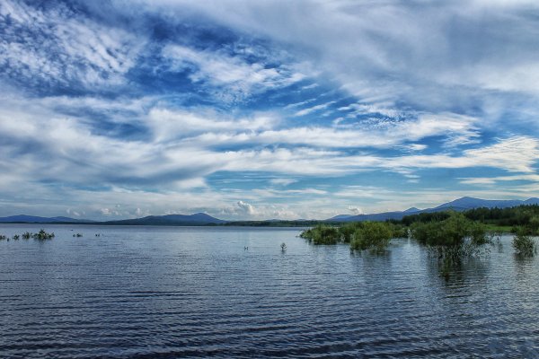 Низовья Амура
