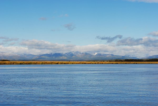 Река Амур