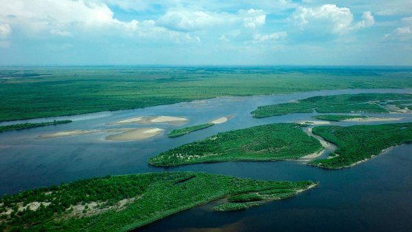 Дельта реки Амур