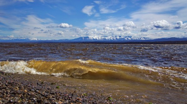 Природа реки Амур