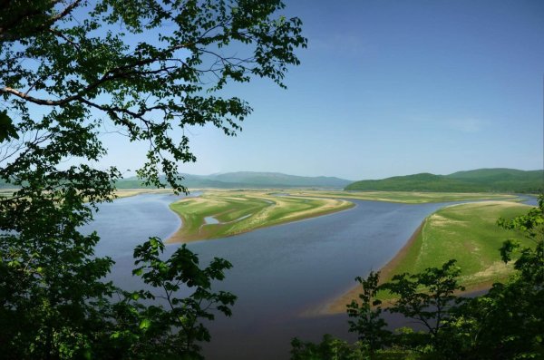 Река Горин Хабаровский к