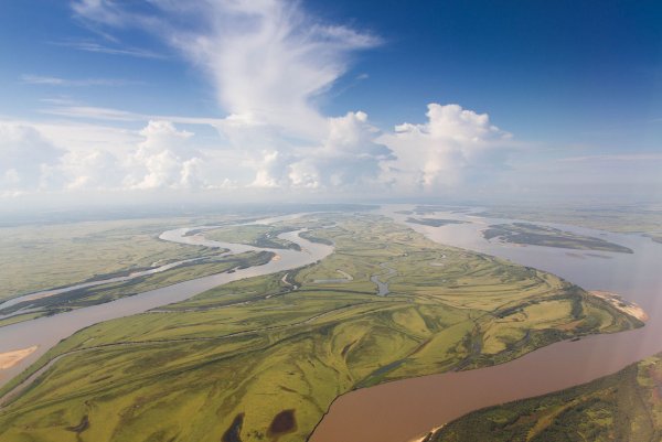 Река Амур