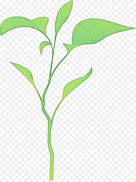 Стебель цветка