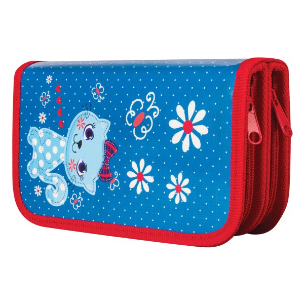 Пенал школьный для девочек 2 отделения BRAUBERG