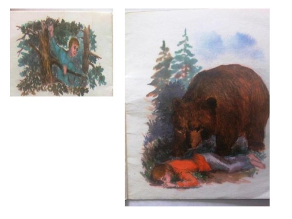 Иллюстрация к басне Толстого два товарища