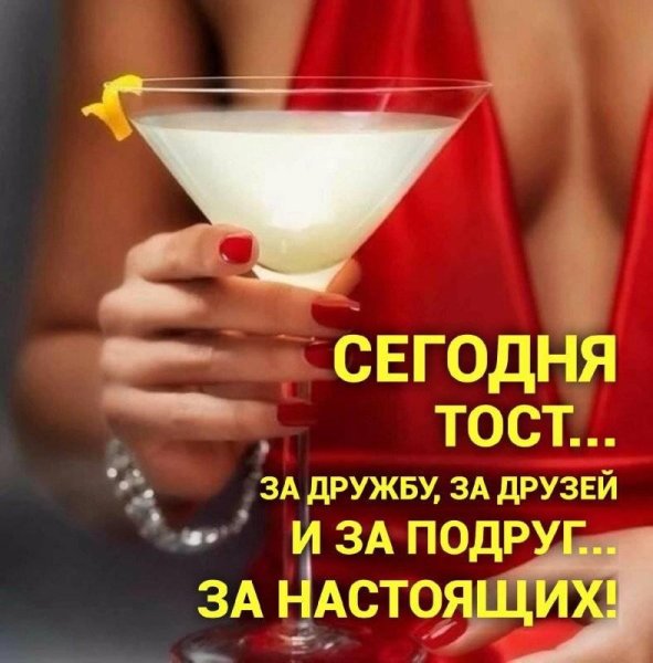 Тост за друзей