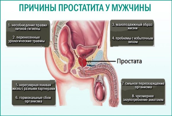 Пальцевое исследование предстательной железы