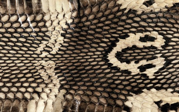 King Cobra 3765 искусственная кожа