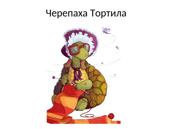Мудрая черепаха Тортилла