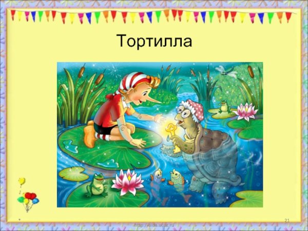 Тортилла черепаха Тортилла