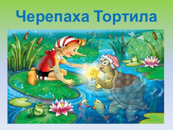 Буратино и черепаха Тортилла