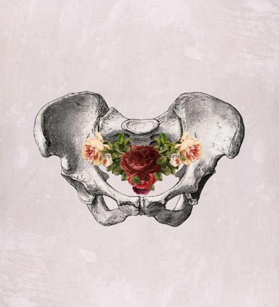 Тазовая кость арт