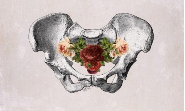 Женский таз в цветах