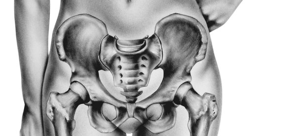 Скелет таза женщины